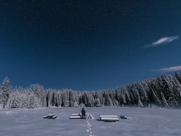 Планетарий Segatoys Flux 2 — обзор и характеристики проектора звездного неба