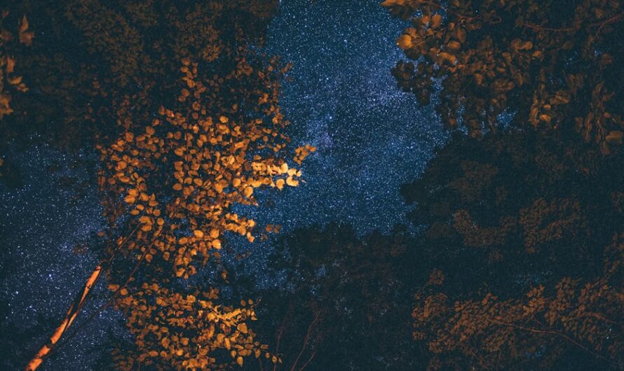 Планетарий Pro для изучения звёздного неба и космоса