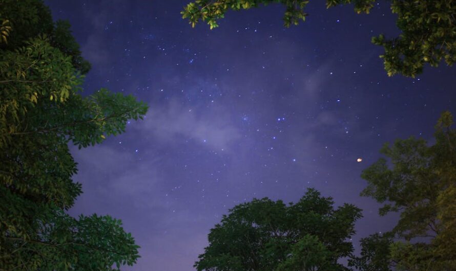 Инновационный планетарий Homestar Flux для изучения астрономии и звездного неба