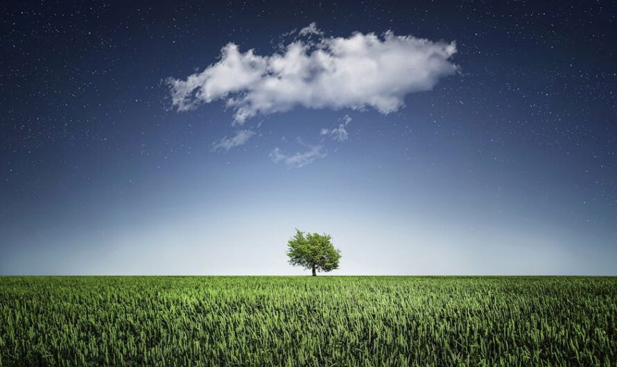 Инновационный цифровий планетарий Homestar Flux