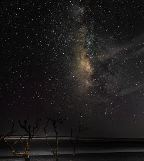 Проекторы звездного неба с Алисой для создания уютной атмосферы