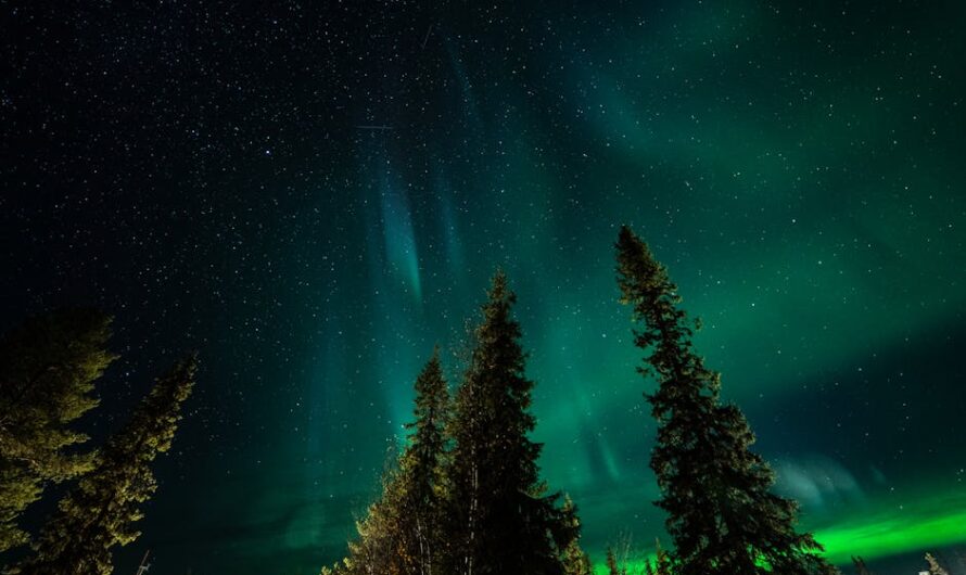 Звездный проектор — идеальное решение для создания романтической атмосферы дома