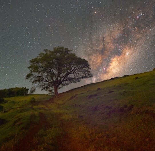Звездный потолок в детской комнате