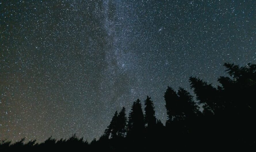 Звездный проектор Homestar Flux от Segatoys: характеристики и преимущества