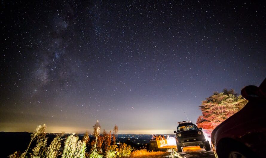 Проектор звездного неба для детей Segatoys в подарок — выбор и преимущества