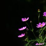 Проектор звездного неба ORZORZ images135.jpg