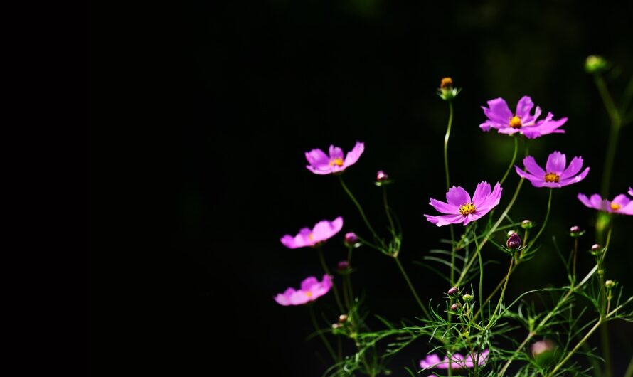 Проектор звездного неба ORZORZ