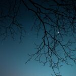 Проектор звездного неба для создания уютной атмосферы в доме images276.jpg