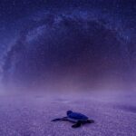 Проектор звездного неба Xiaomi images569.jpg