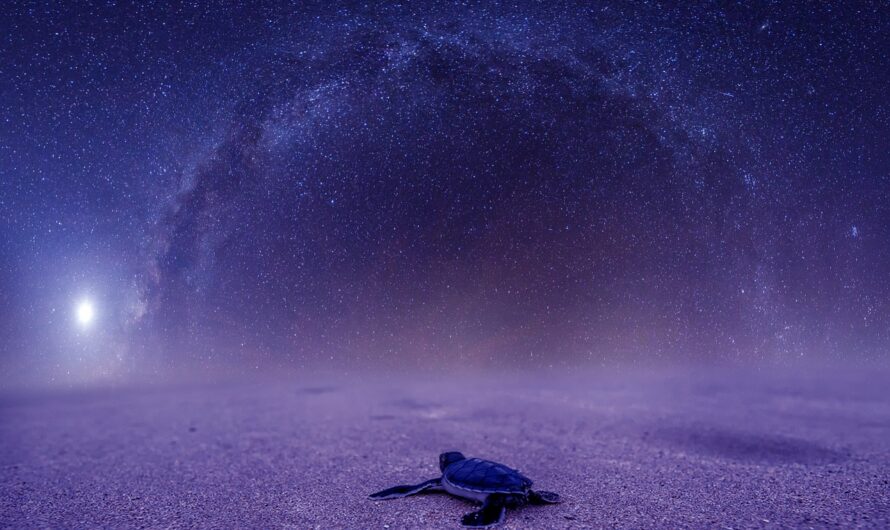 Проектор звездного неба Xiaomi