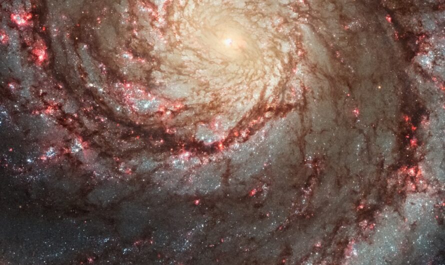 Проектор звездного неба для детей и взрослых