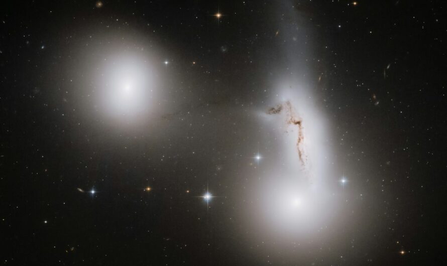 Звездный проектор для дома — что это такое и как выбрать оптимальную модель