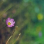 Homestar Flux проектор звездного неба для детской астрономии unsplash_376.jpg