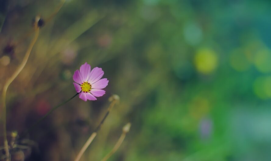 Homestar Flux проектор звездного неба для детской астрономии