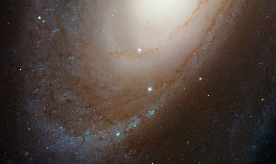 Проектор звездного неба для дома