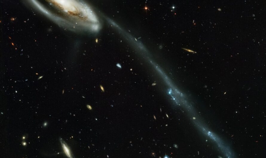 Проектор звездного неба для дома и его преимущества