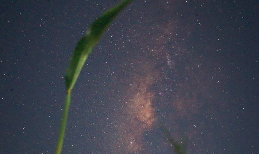 Диски для планетария от Segatoys для увлекательного изучения астрономии детьми