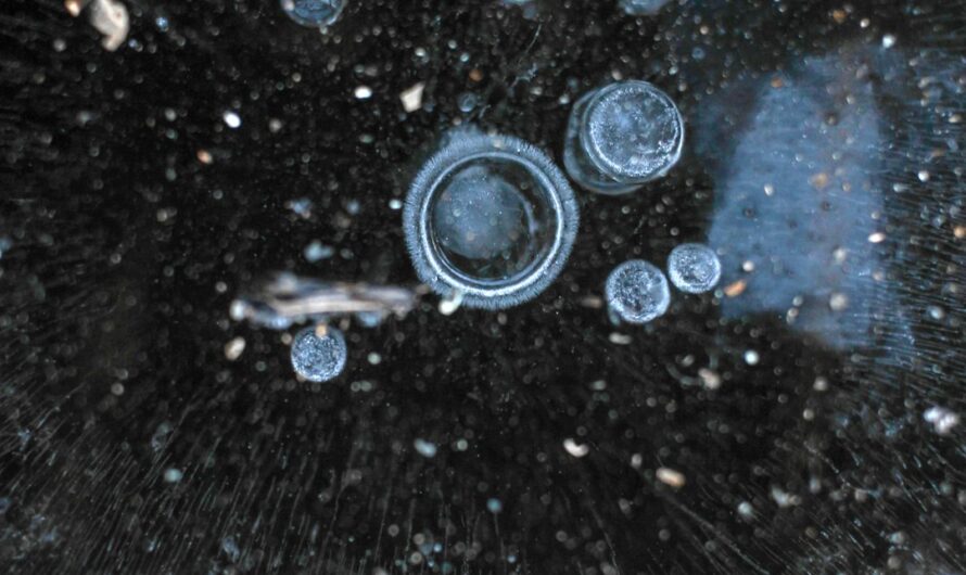 Проектор звездного неба для детской комнаты